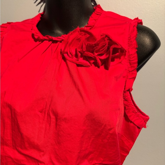 1901 Cotton Ruffled Blouse - Picture 5 of 9